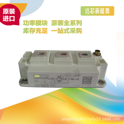 SKM100GAL176D、 SKM100GAL173D、 SKM100GAL17IE4西門康全新原裝