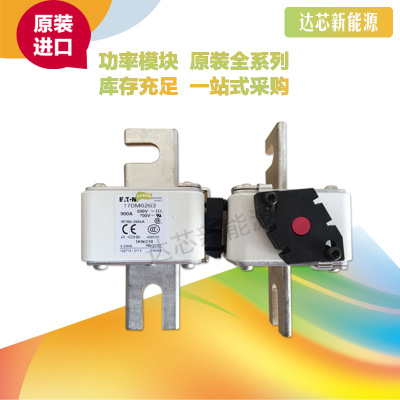 全新原裝BUSSMANN熔斷器170M6305 170M6306 170M6307現(xiàn)貨直銷