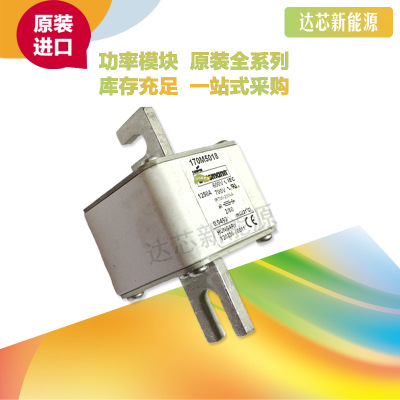 BUSSMANN熔斷器170M5058 170M5059 170M5060 170M5061 170M5062