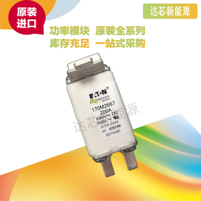 BUSSMANN熔斷器170M2663 170M2664 170M2665 170M2666 170M2667
