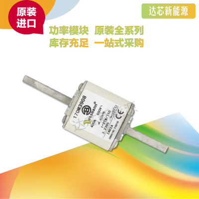 170M3970 170M3971 170M3972 170M3973 170M3974 170M3975熔斷器