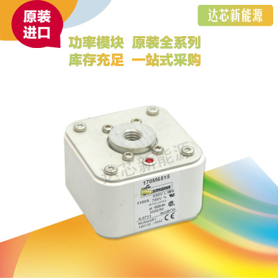 BUSSMANN熔斷器170M6513 170M6514 170M6515 170M6516 170M6517