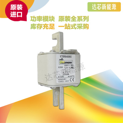 BUSSMANN熔斷器170M4058 170M4059 170M4060 170M4061 170M4062
