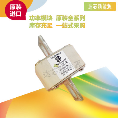 BUSSMANN熔斷器170M6613 170M6614 170M6615 170M6616 170M6617