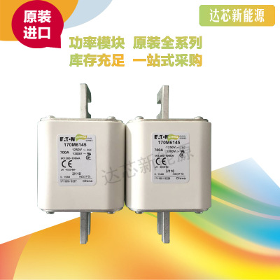 BUSSMANN熔斷器170M6143 170M6144 170M6145 170M6146 170M6147