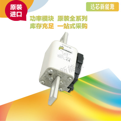 BUSSMANN熔斷器170M4743 170M4744 170M4745 170M4746 170M4747