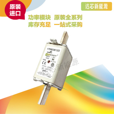 BUSSMANN熔斷器170M3808 170M3809 170M3810 170M3811 170M3812