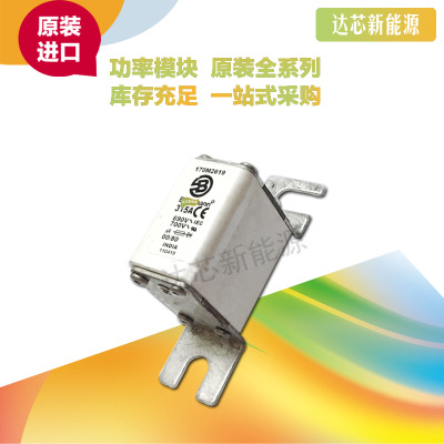 BUSSMANN熔斷器170M2613 170M2614 170M2615 170M2616 170M2617
