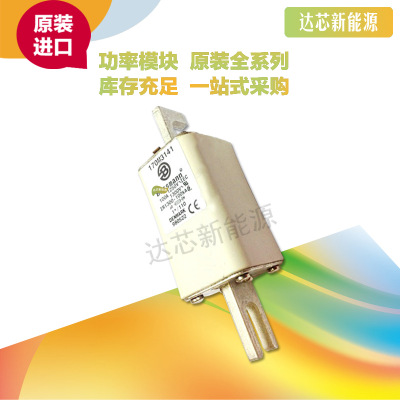BUSSMANN熔斷器170M3138 170M3139 170M3140 170M3141 170M3142