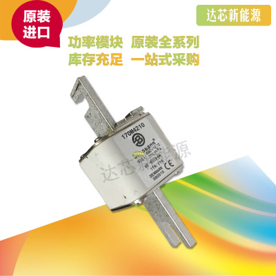 全新原裝BUSSMANN熔斷器170M4217 170M4218 170M4219現(xiàn)貨直銷