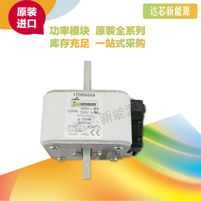 BUSSMANN熔斷器170M6698 170M6699 170M6700 170M6701 170M3747
