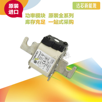 170M4313 170M4314 170M4315 170M4316 170M4317 170M4318熔斷器