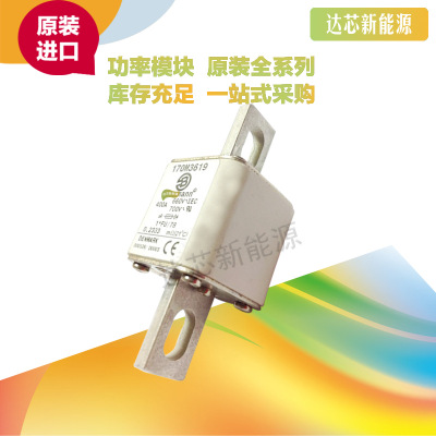 170M3618 170M3619 170M3620 170M3621 170M3622 170M3623熔斷器