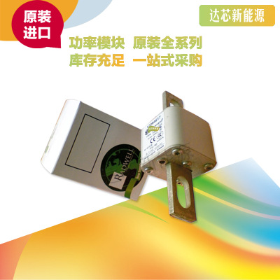 全新原裝BUSSMANN熔斷器170M4617 170M4618 170M4619現(xiàn)貨直銷