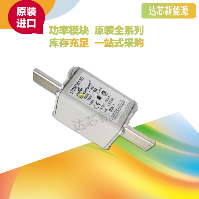 熔斷器170M3810D 170M3811D 170M3812D 170M3813D 170M3814D