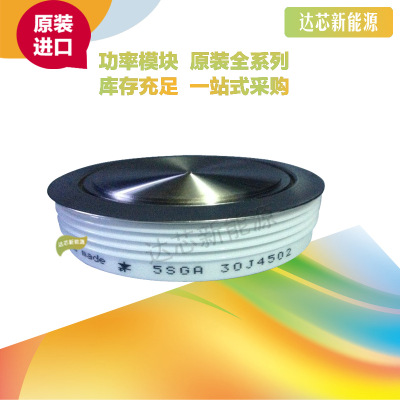 5SGA20H4502 全新原裝正品 瑞士ABB 晶閘管模塊現(xiàn)貨直銷(xiāo)