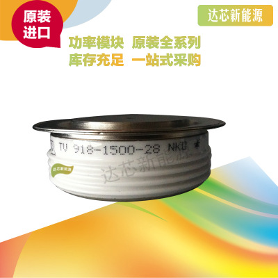 TV918-1670-22NKO 全新原裝正品 瑞士ABB 晶閘管模塊現(xiàn)貨直銷